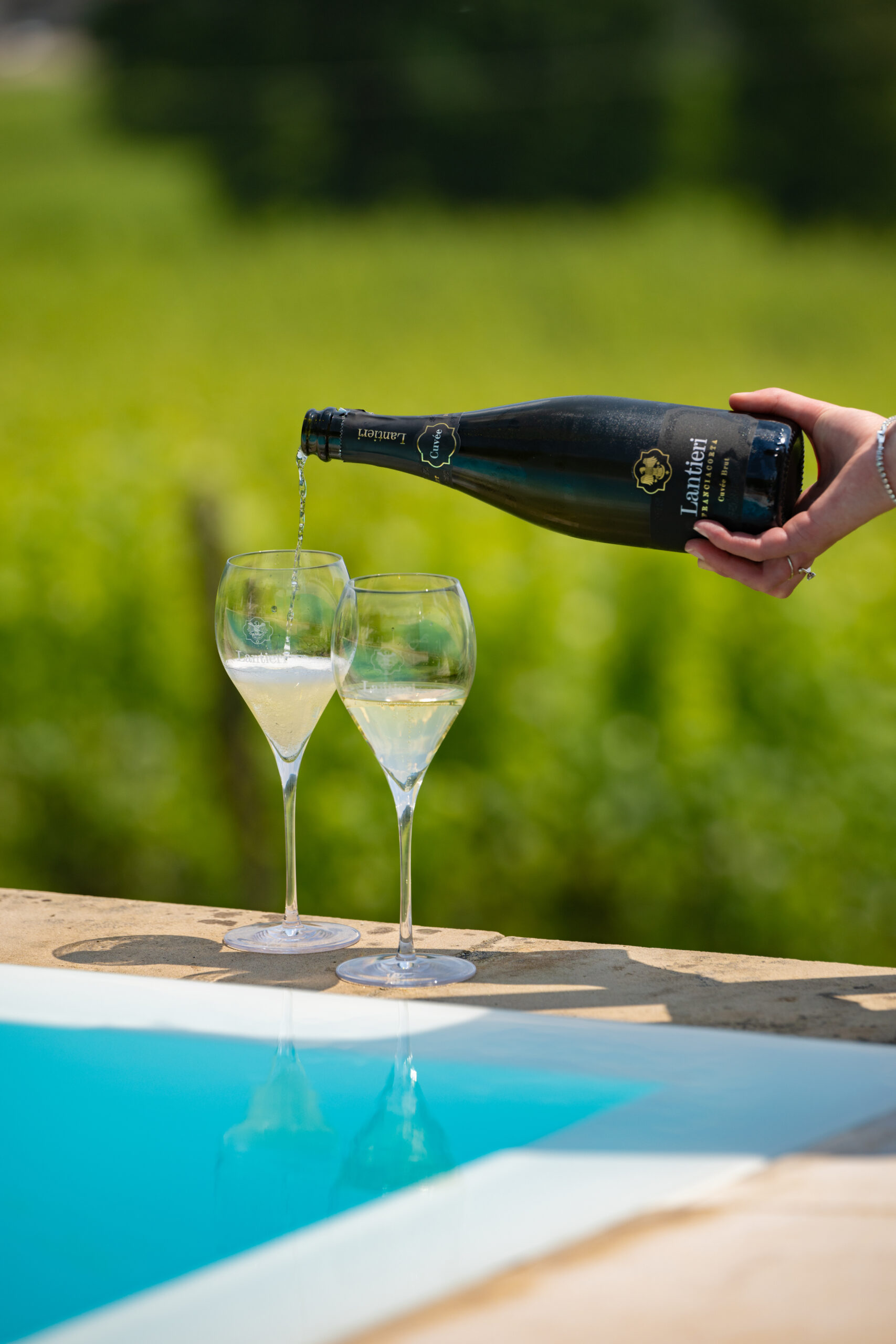 夏に飲みたい泡