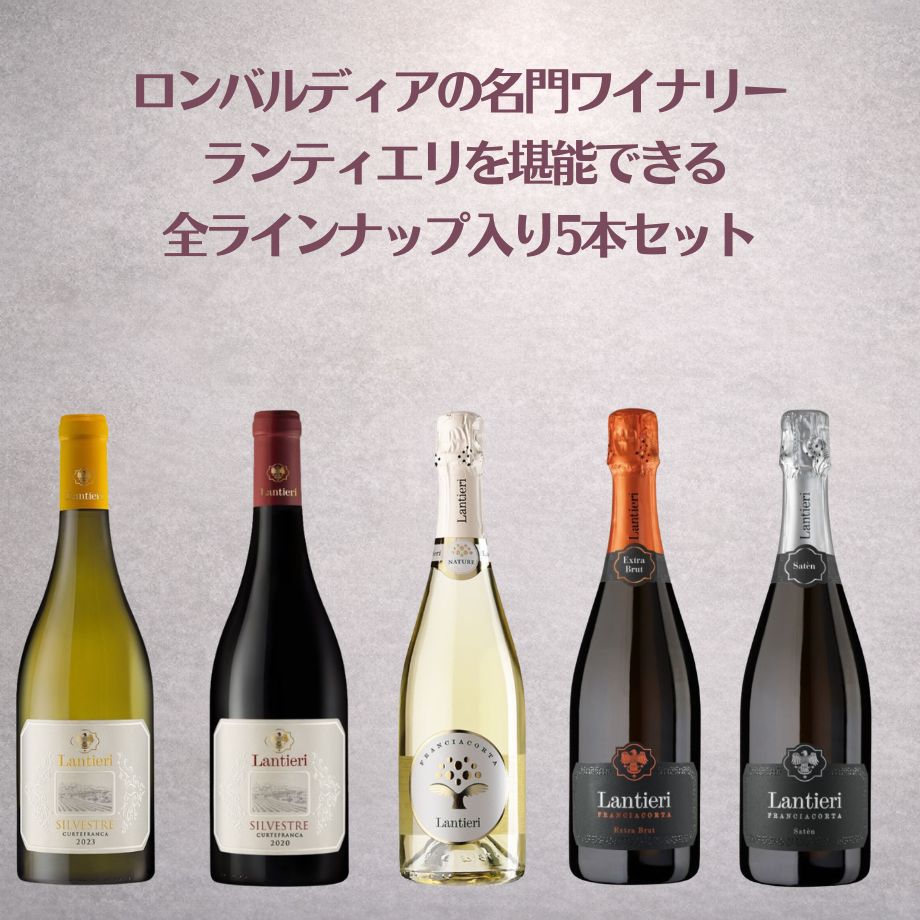 フランチャコルタセットB gabriele scaglione barolo